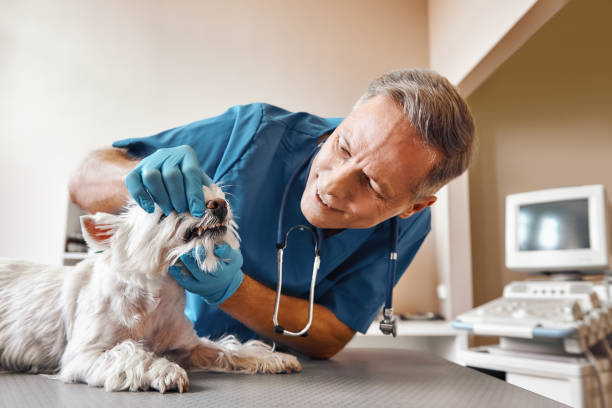 Best Emergency Root Canal Treatment in Crescent, OK